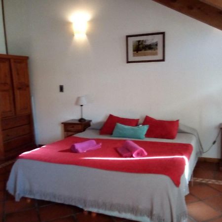 Departamento En Apart Pequena Comarca Apartment San Martin de los Andes Ngoại thất bức ảnh
