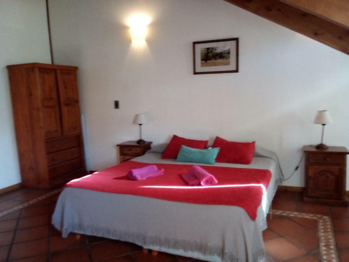 Departamento En Apart Pequena Comarca Apartment San Martin de los Andes Ngoại thất bức ảnh
